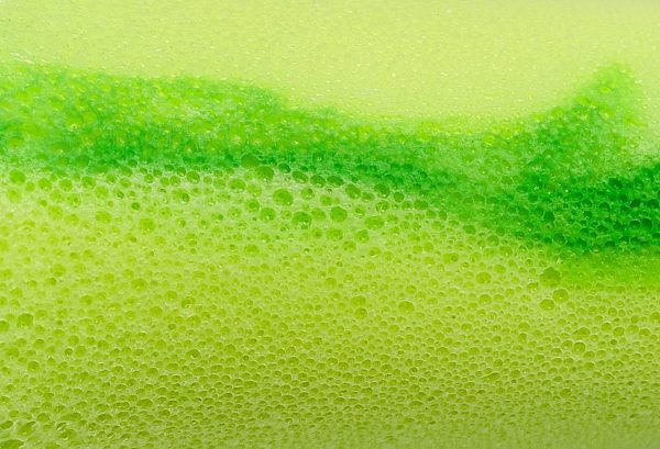 moldex 7400 foam