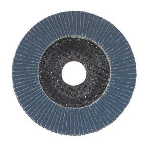 GARRYSON Zirconium Flap Disc
